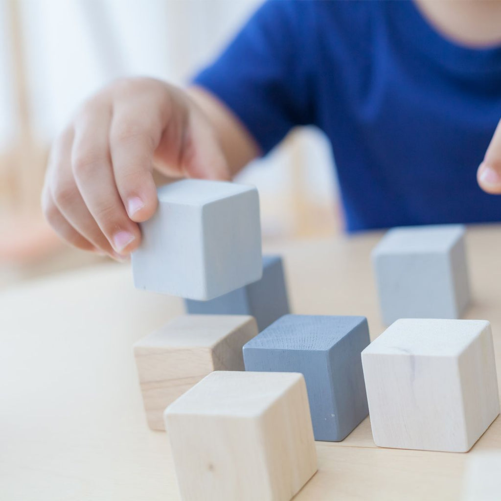 PlanToys Cubes | Playroom Avenue