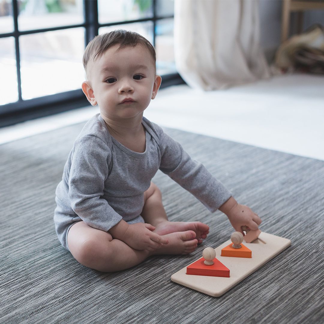 PlanToys Triangle Matching Puzzle | Playroom Avenue
