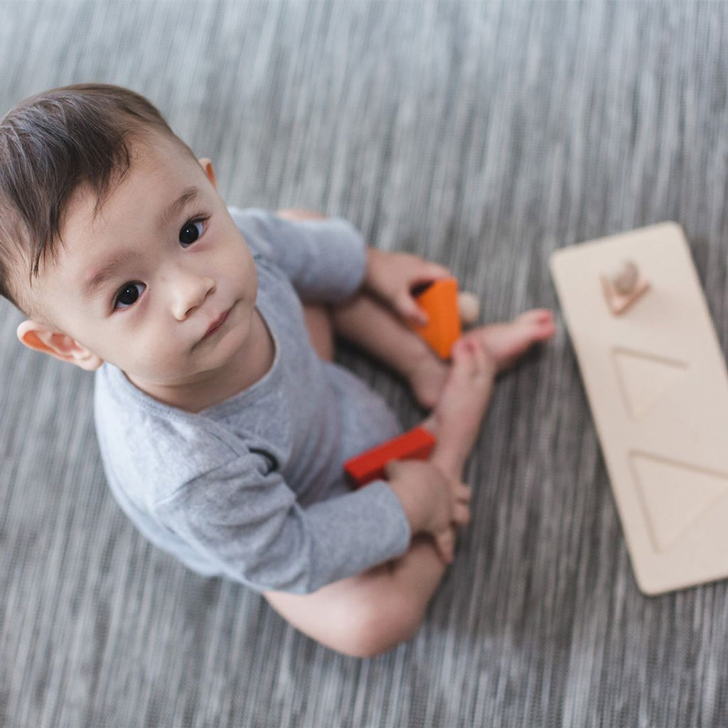 PlanToys Triangle Matching Puzzle | Playroom Avenue