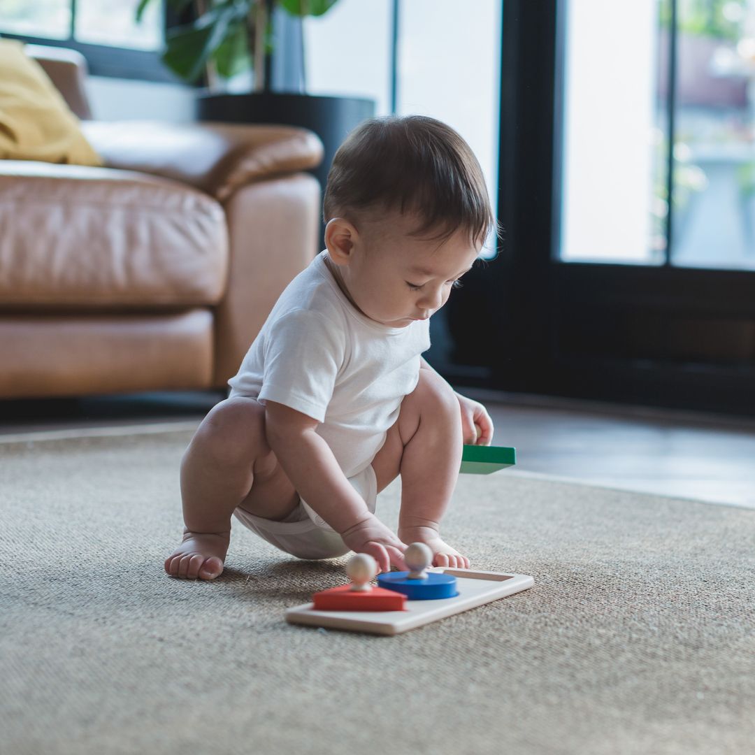 PlanToys Shape Matching Puzzle | Playroom Avenue