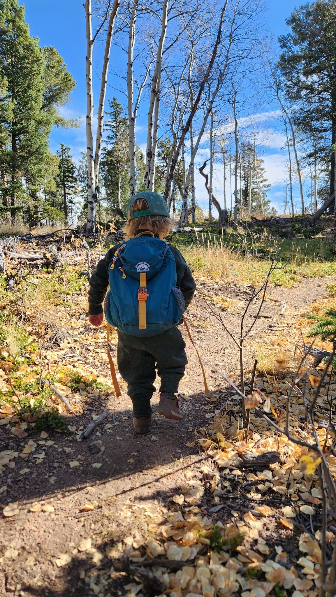 Kid’s (Ages 2 to 7) Teal Hiking Pack