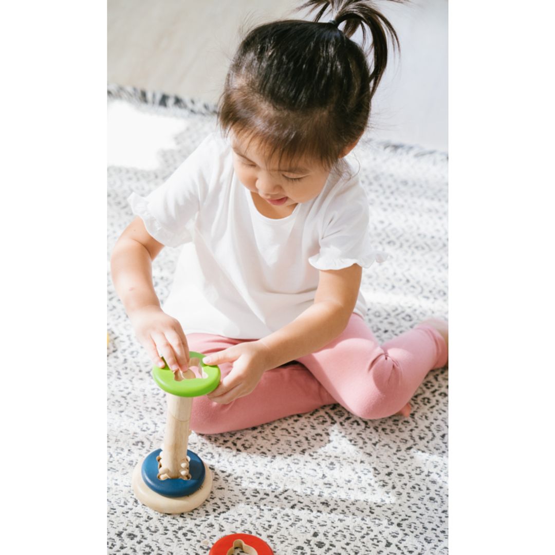 PlanToys Twist & Sort | Playroom Avenue
