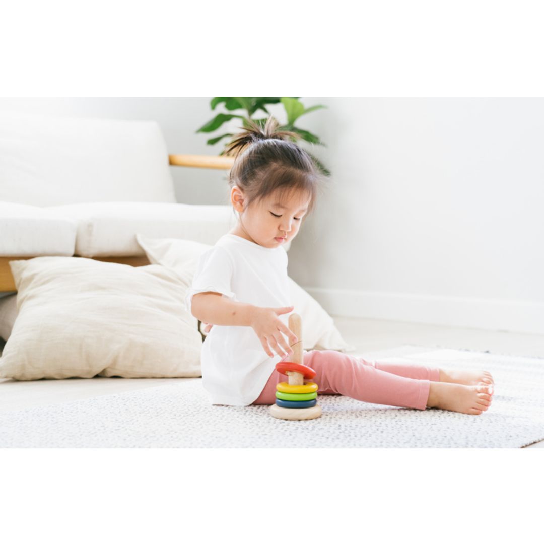 PlanToys Twist & Sort | Playroom Avenue