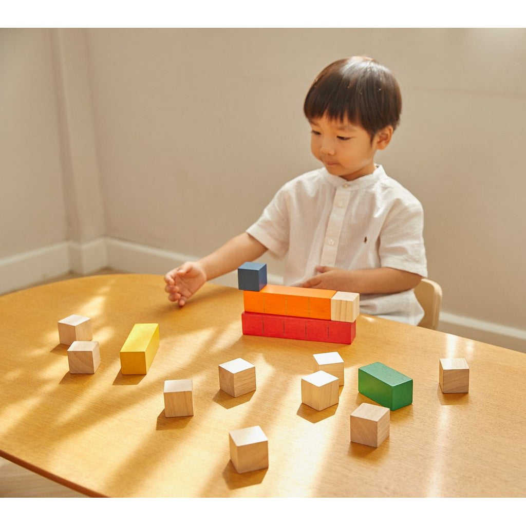 PlanToys Colored Counting Blocks - Unit Plus | Playroom Avenue