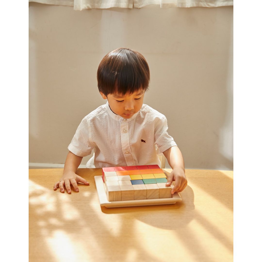 PlanToys Colored Counting Blocks - Unit Plus | Playroom Avenue