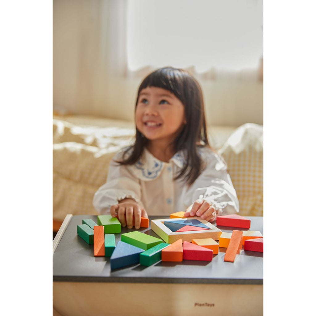 PlanToys Fraction Blocks - Unit Plus | Playroom Avenue