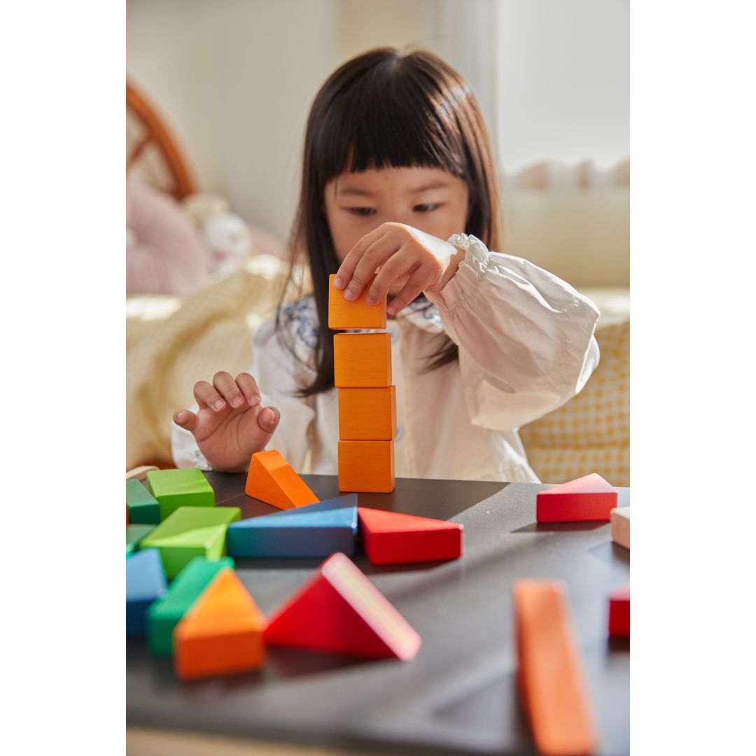 PlanToys Fraction Blocks - Unit Plus