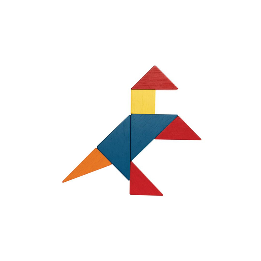 PlanToys Fraction Blocks - Unit Plus | Playroom Avenue