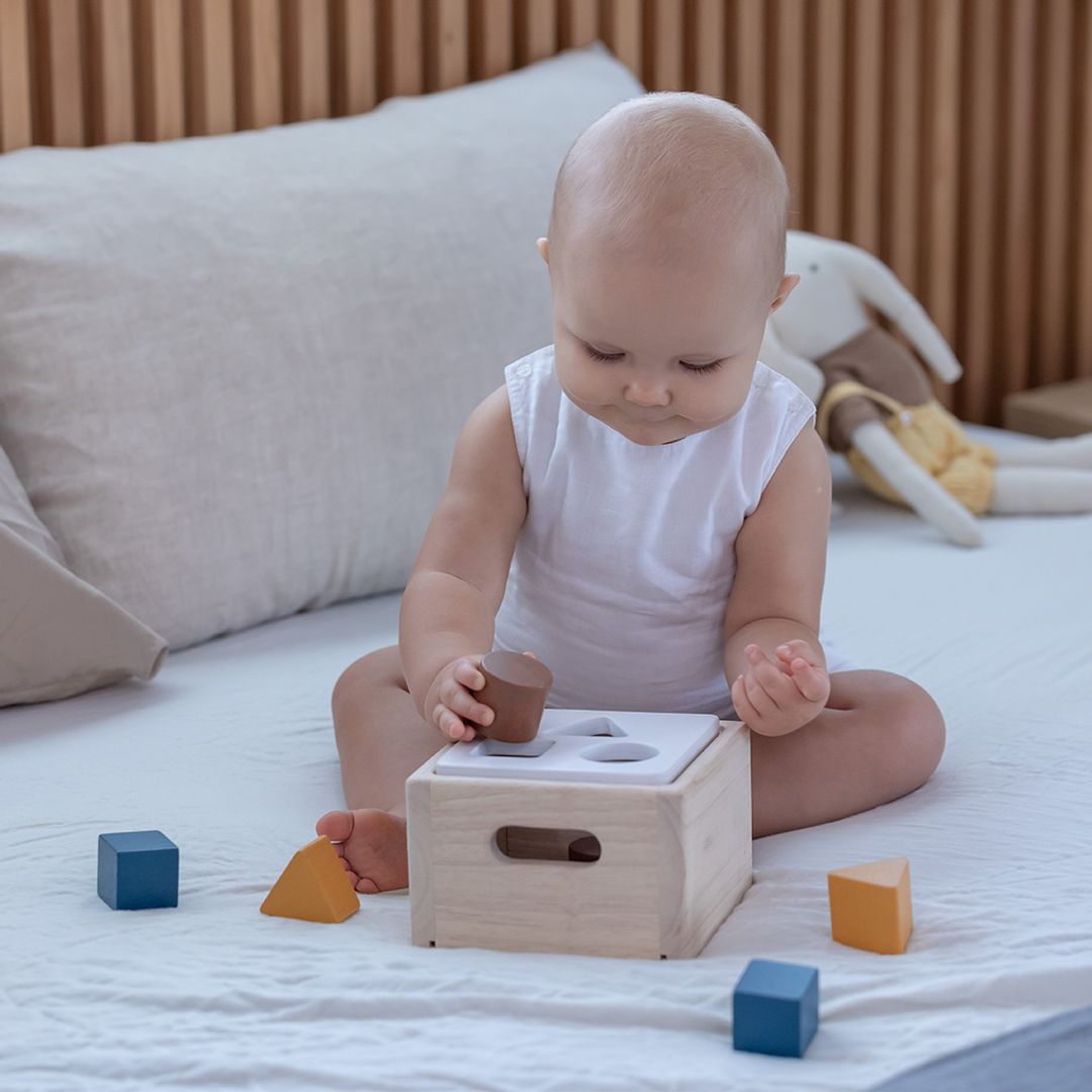 PlanToys Shape & Sort It Out - Orchard | Playroom Avenue