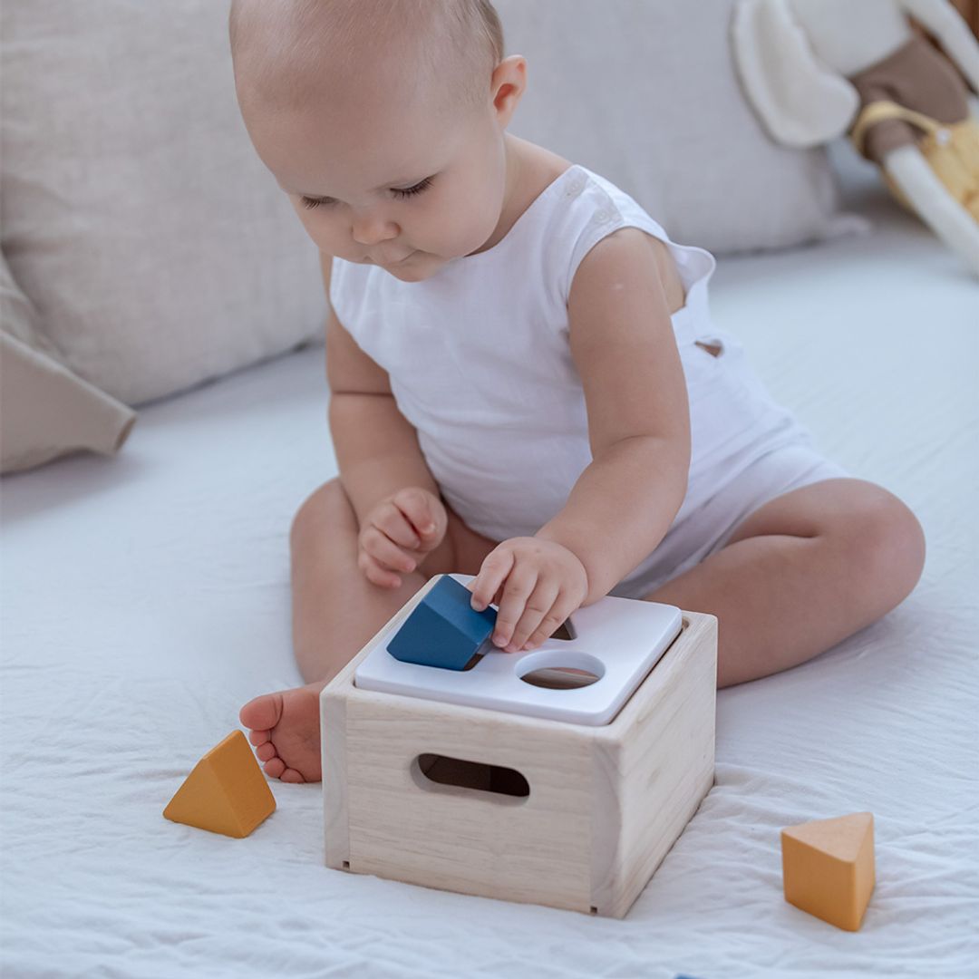 PlanToys Shape & Sort It Out - Orchard | Playroom Avenue