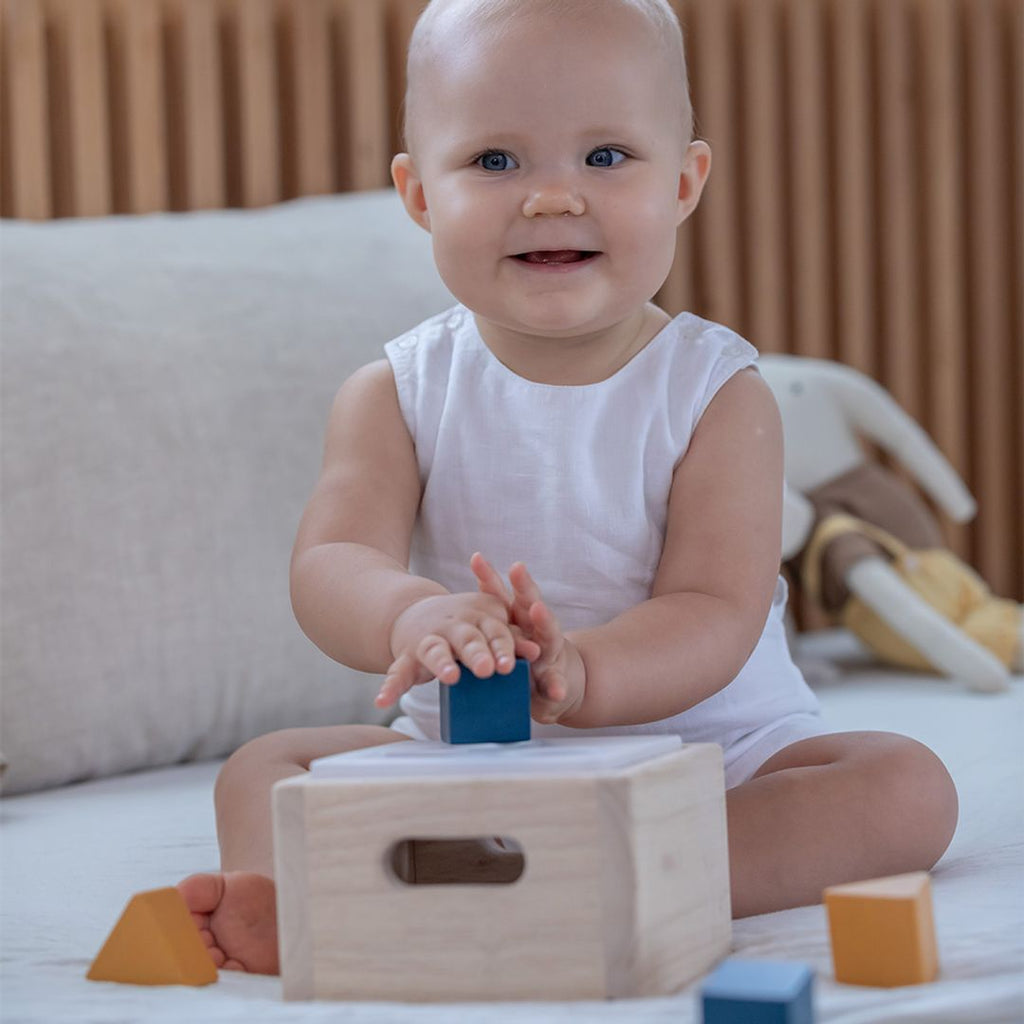 PlanToys Shape & Sort It Out - Orchard | Playroom Avenue