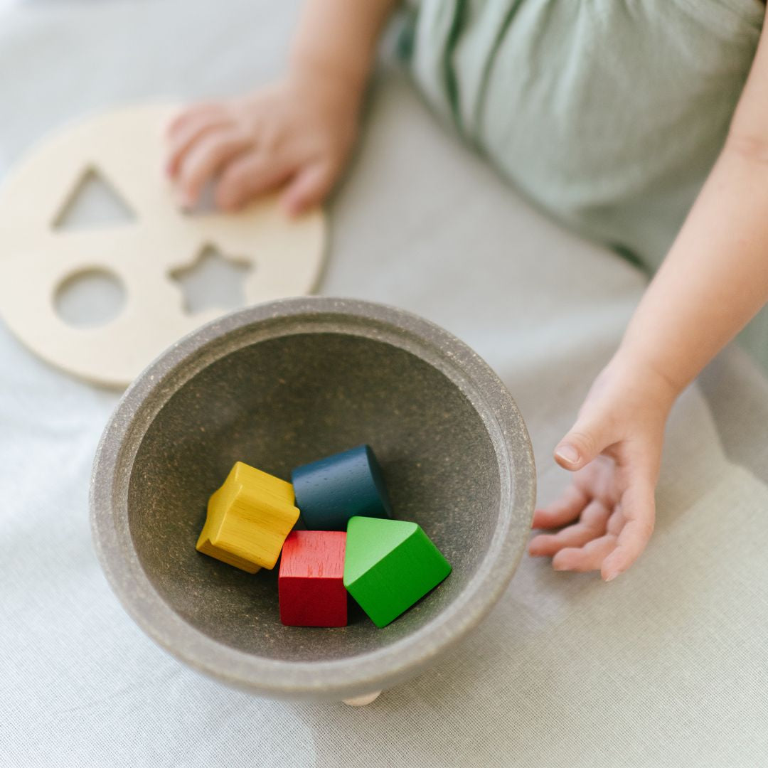 PlanToys Shape Sorting Bowl