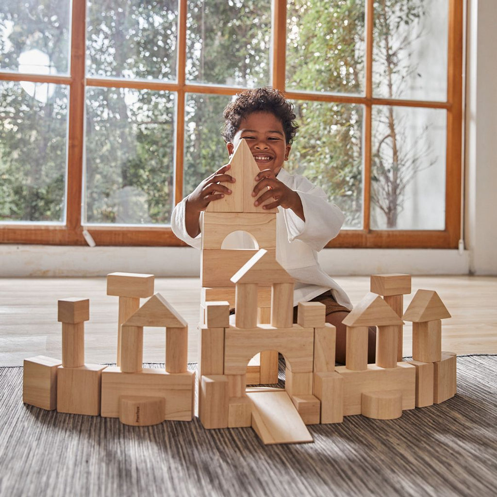 PlanToys 50 Unit Blocks | Playroom Avenue
