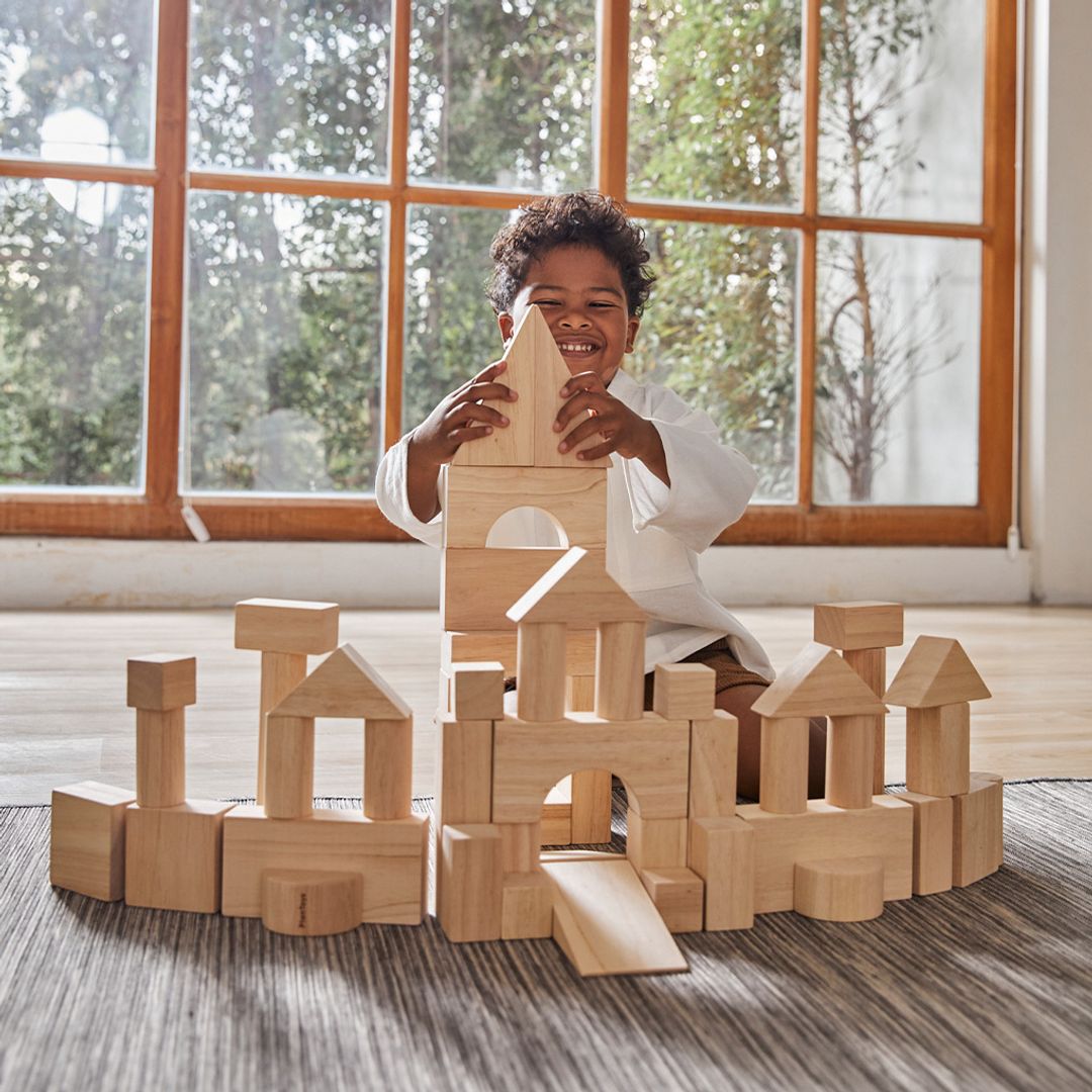 PlanToys 50 Unit Blocks | Playroom Avenue