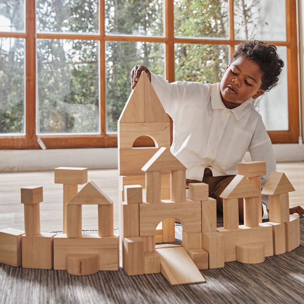 PlanToys 50 Unit Blocks | Playroom Avenue