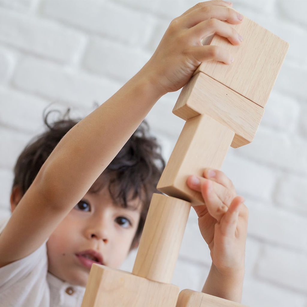 PlanToys 50 Unit Blocks | Playroom Avenue