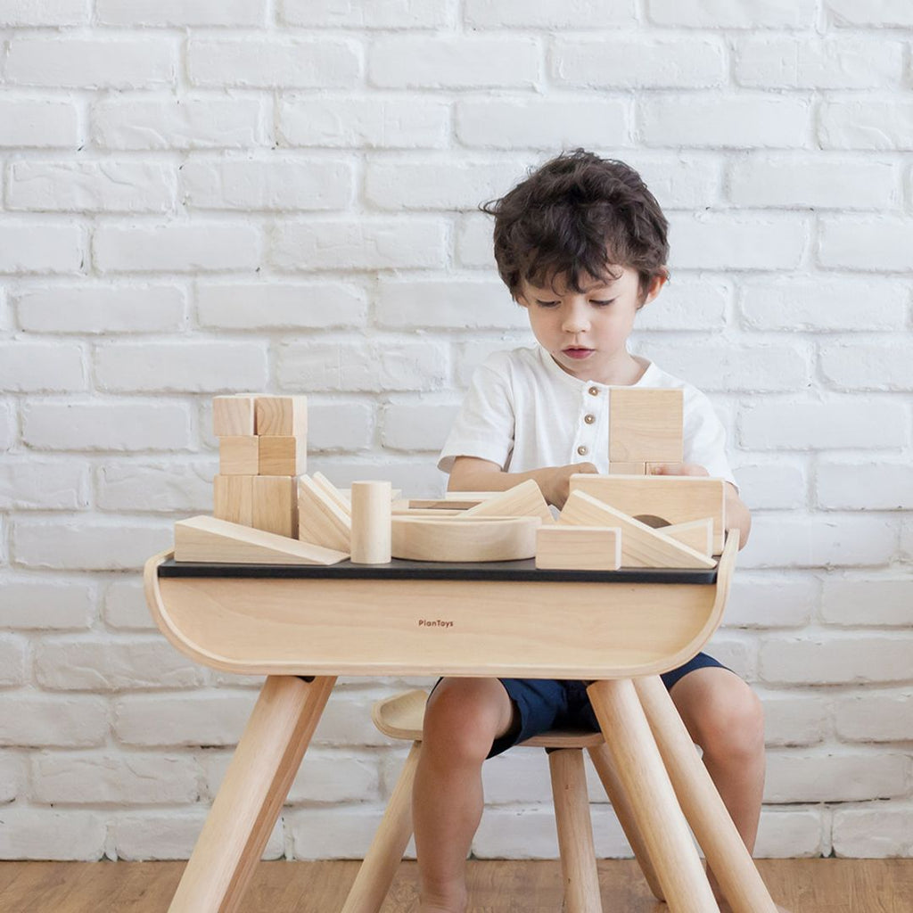 PlanToys 50 Unit Blocks | Playroom Avenue