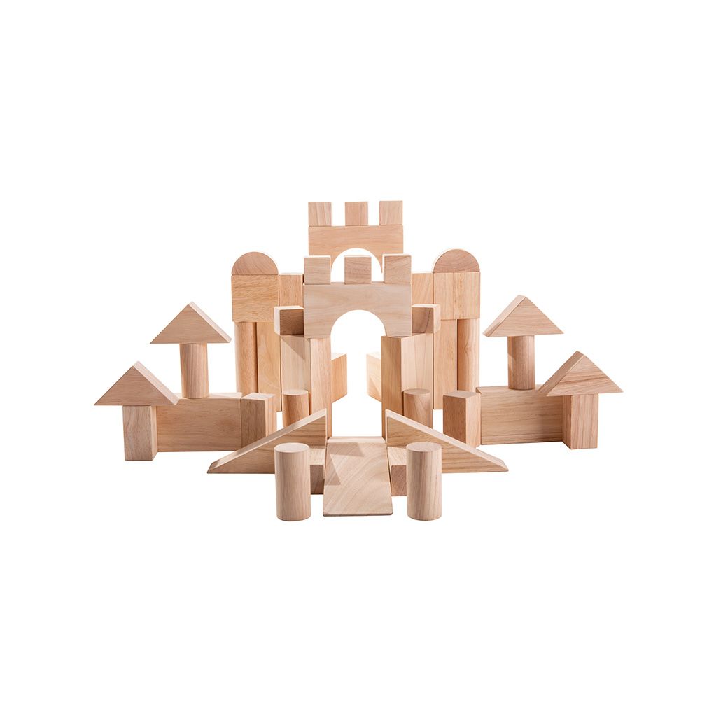 PlanToys 50 Unit Blocks | Playroom Avenue