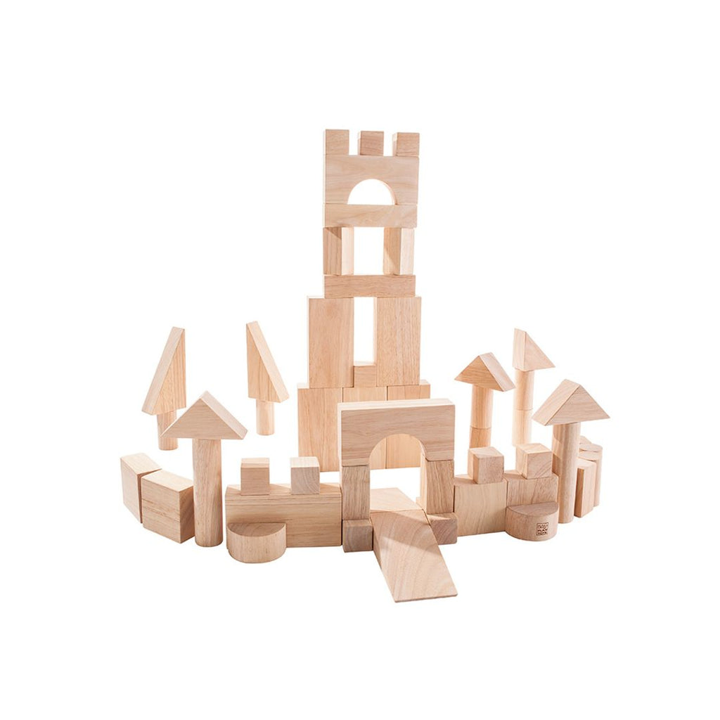 PlanToys 50 Unit Blocks | Playroom Avenue