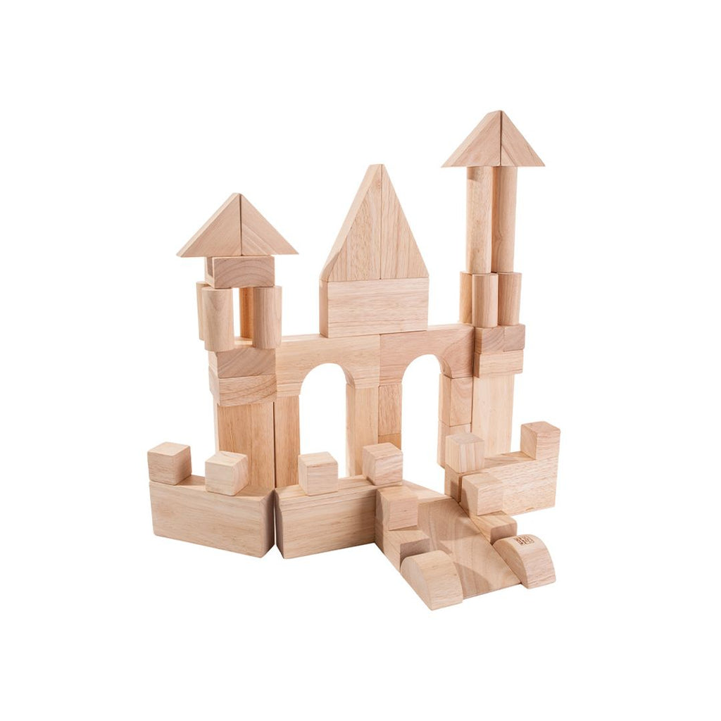 PlanToys 50 Unit Blocks | Playroom Avenue