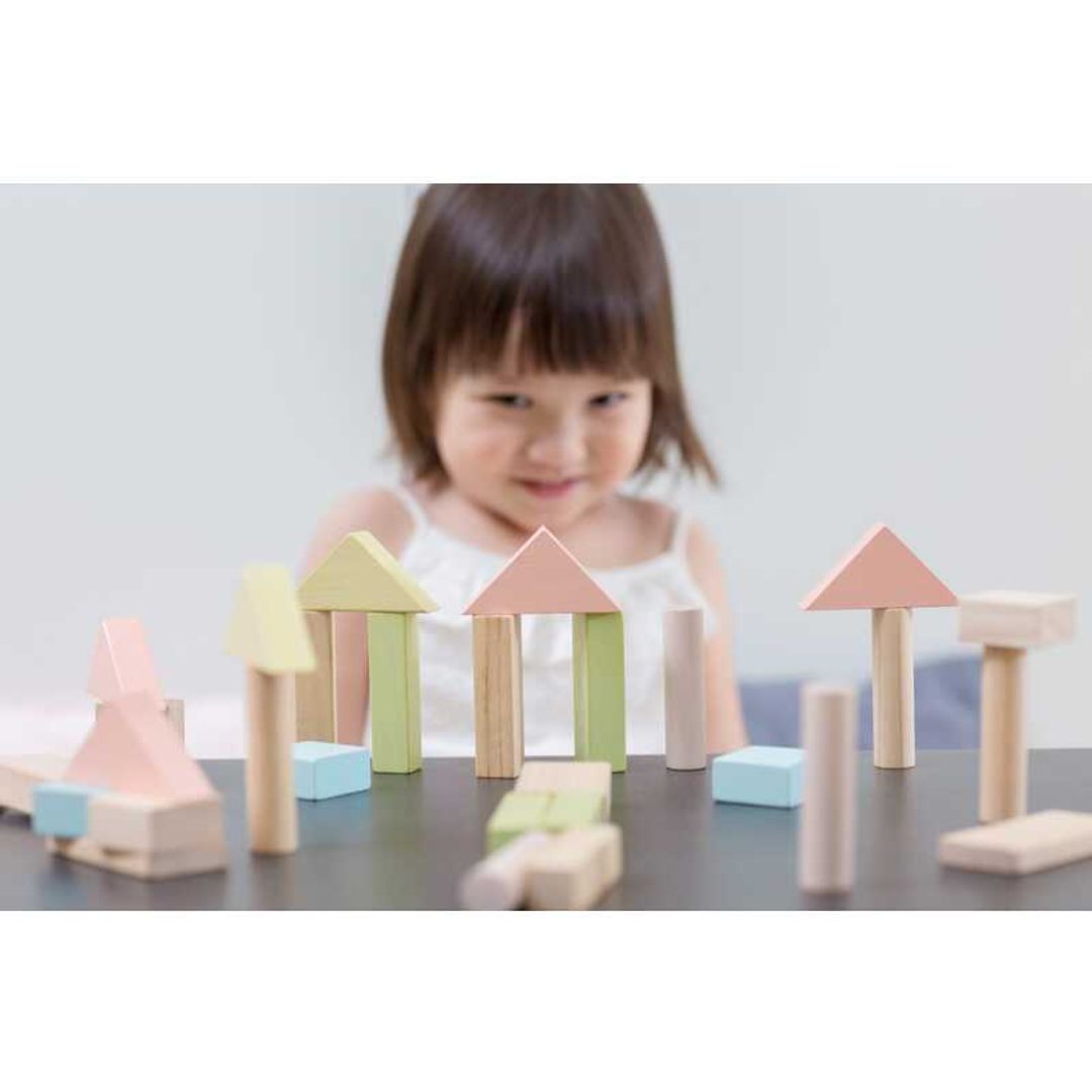 PlanToys 40 Unit Blocks