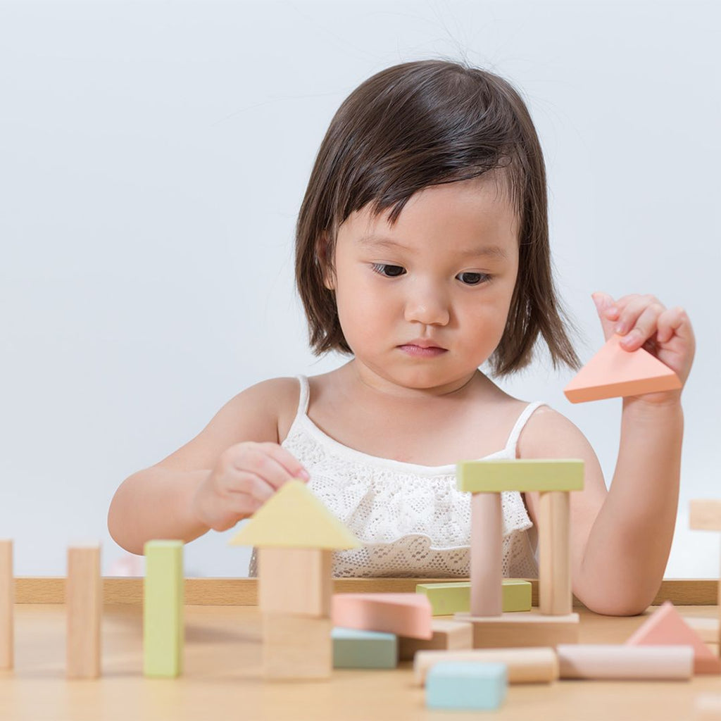 PlanToys 40-Piece Small Unit Blocks – Pastel Set | Playroom Avenue
