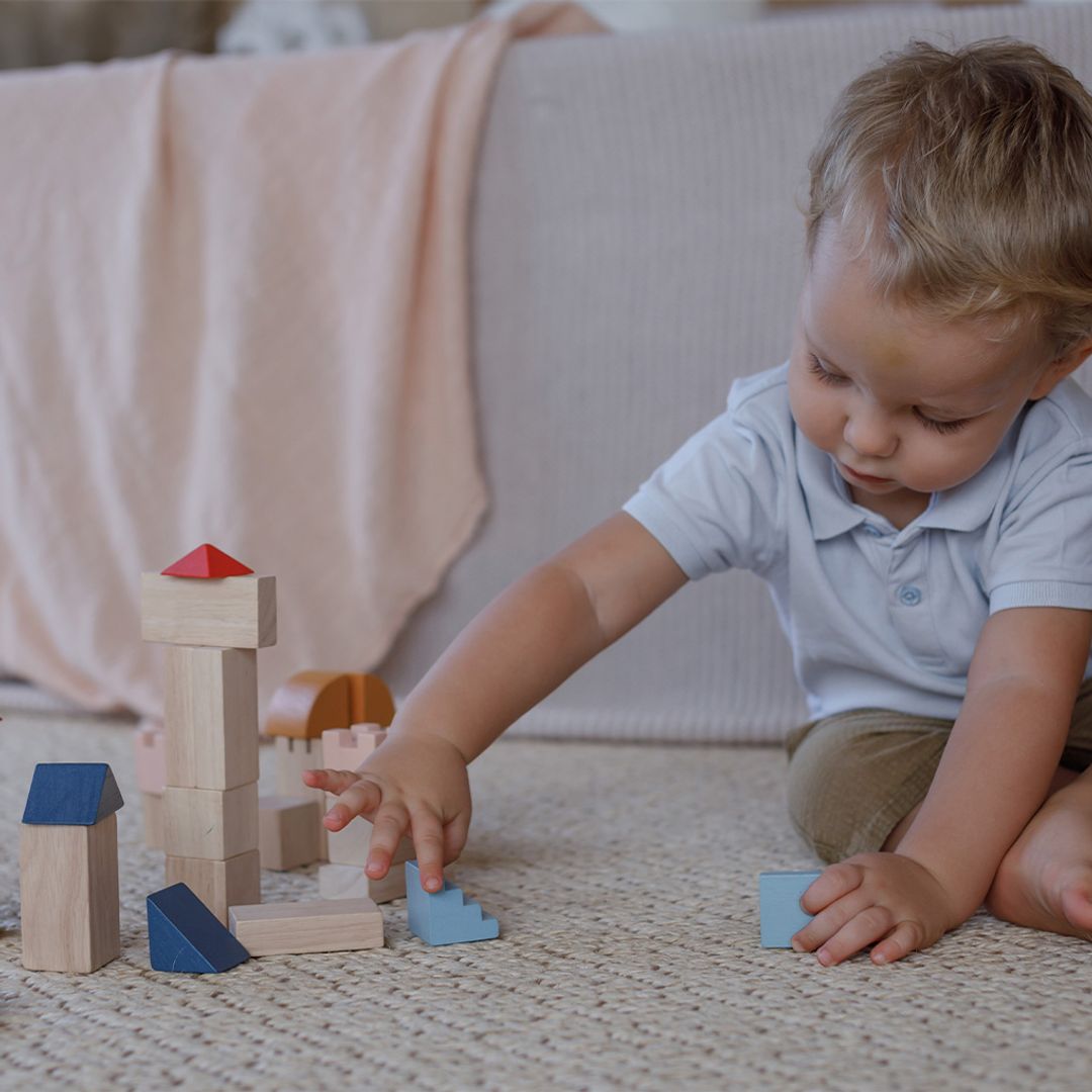 PlanToys Creative Blocks - Orchard | Playroom Avenue