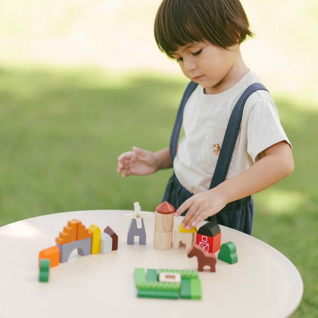 PlanToys Country Blocks | Playroom Avenue