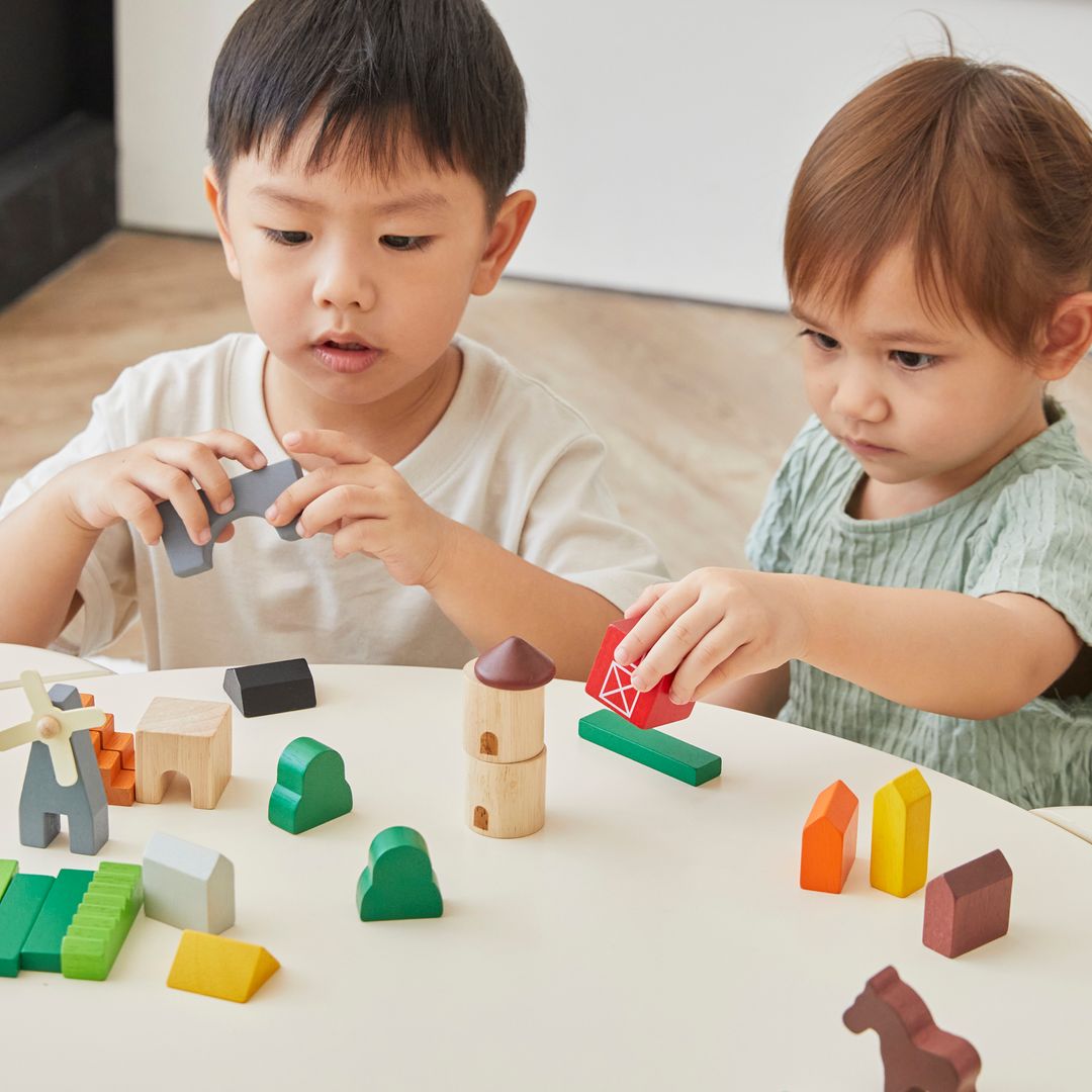 PlanToys Country Blocks | Playroom Avenue