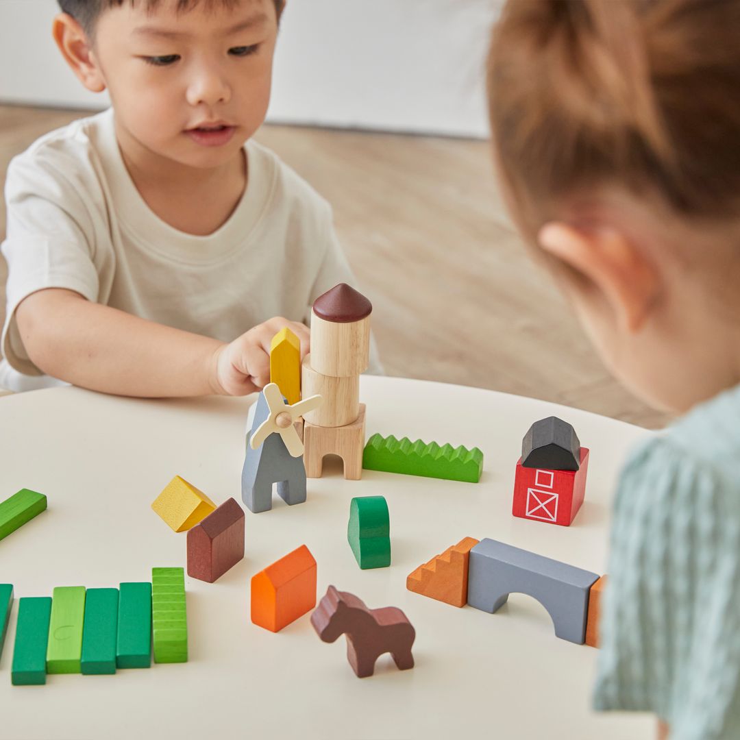 PlanToys Country Blocks | Playroom Avenue
