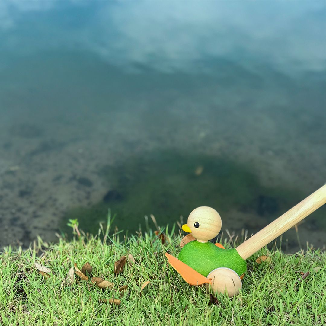 PlanToys Push Along Duck | Playroom Avenue