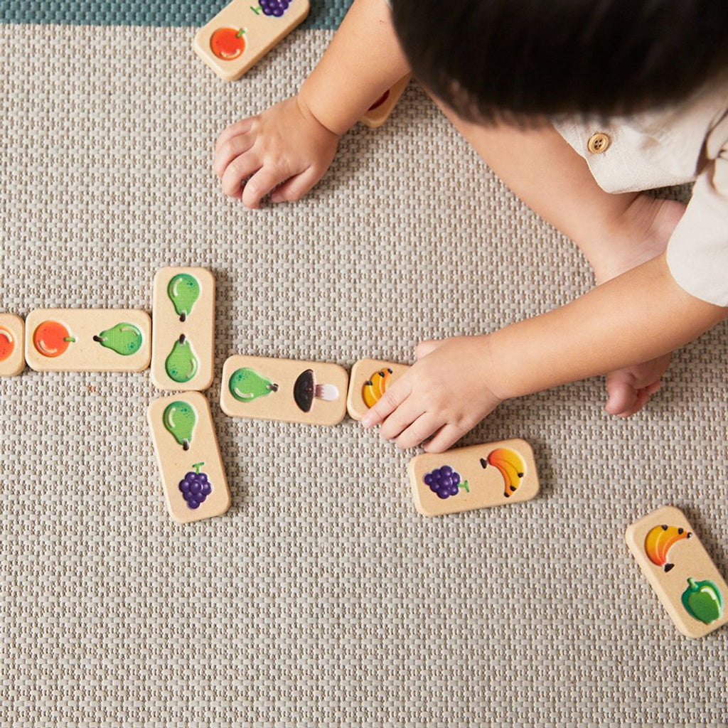 PlanToys Fruit & Veggie Domino (Gradient) | Playroom Avenue