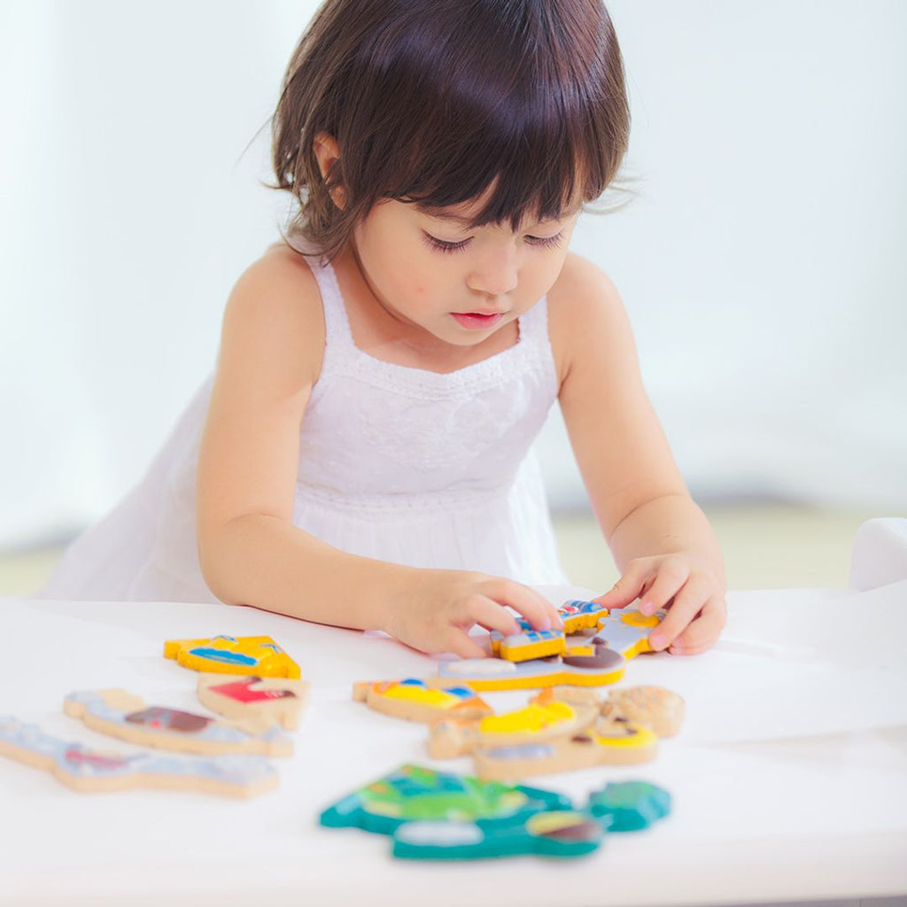 PlanToys Weather Dress-Up | Playroom Avenue