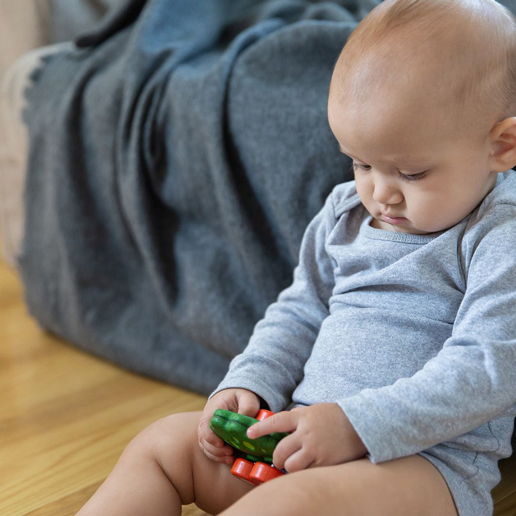 PlanToys Dino Car - Stego | Playroom Avenue