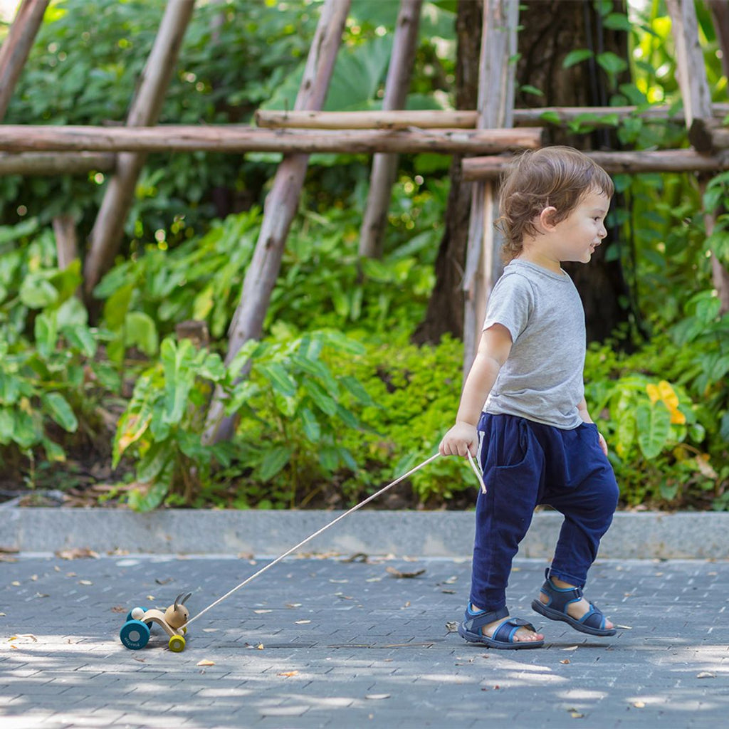 PlanToys Hopping Rabbit | Playroom Avenue