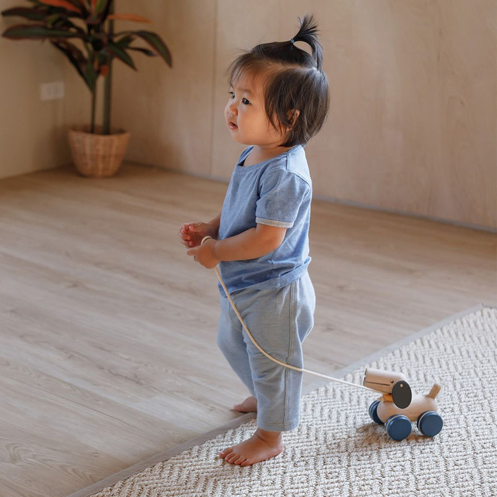 PlanToys Push & Pull Puppy | Playroom Avenue