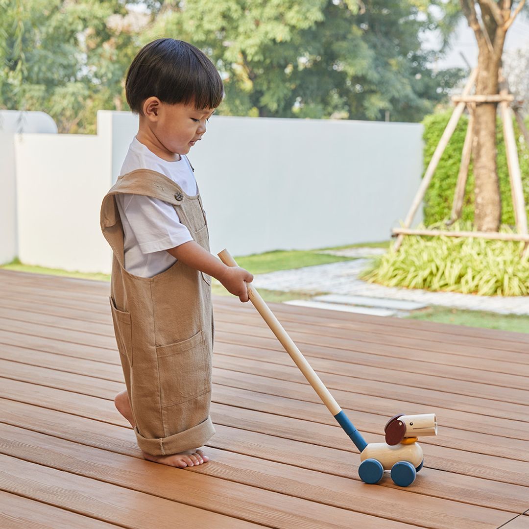 PlanToys Push & Pull Puppy | Playroom Avenue