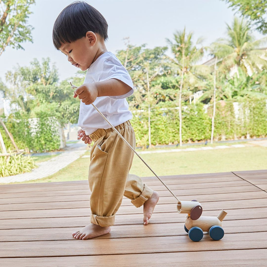 PlanToys Push & Pull Puppy | Playroom Avenue