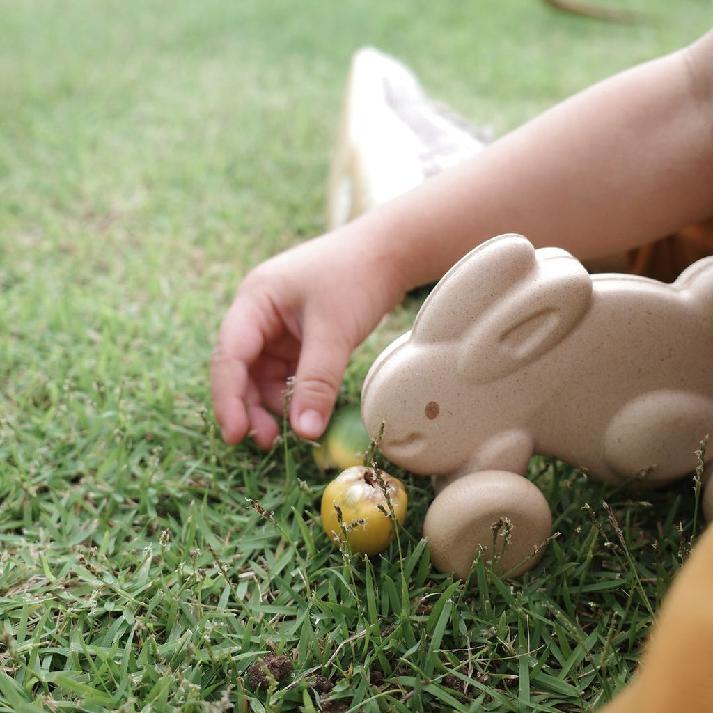 PlanToys Push Along Bunny - White | Playroom Avenue