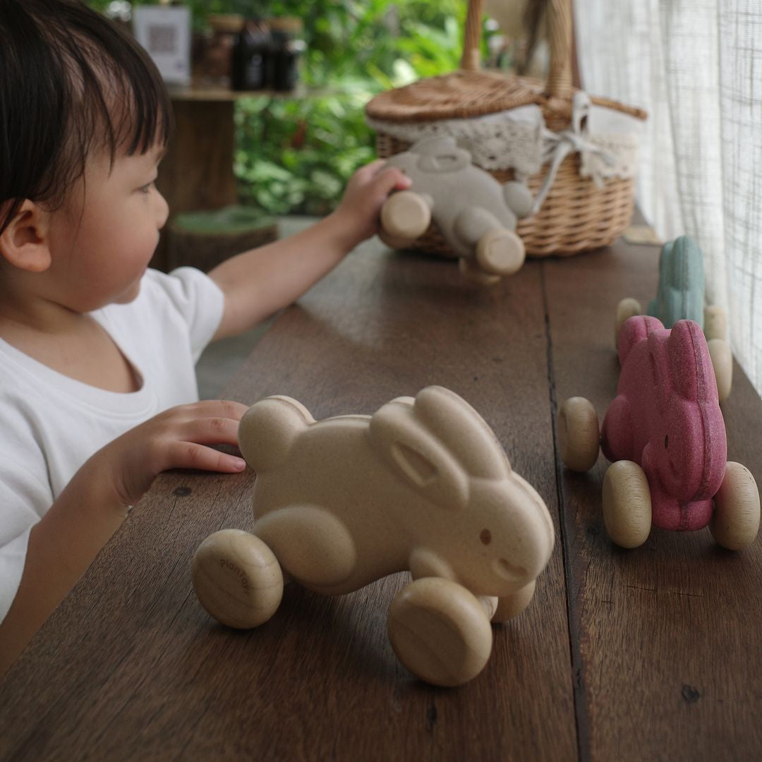 PlanToys Push Along Bunny - White | Playroom Avenue