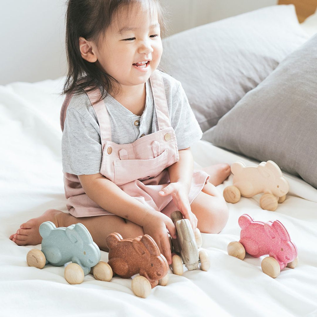 PlanToys Push Along Bunny - Pink | Playroom Avenue