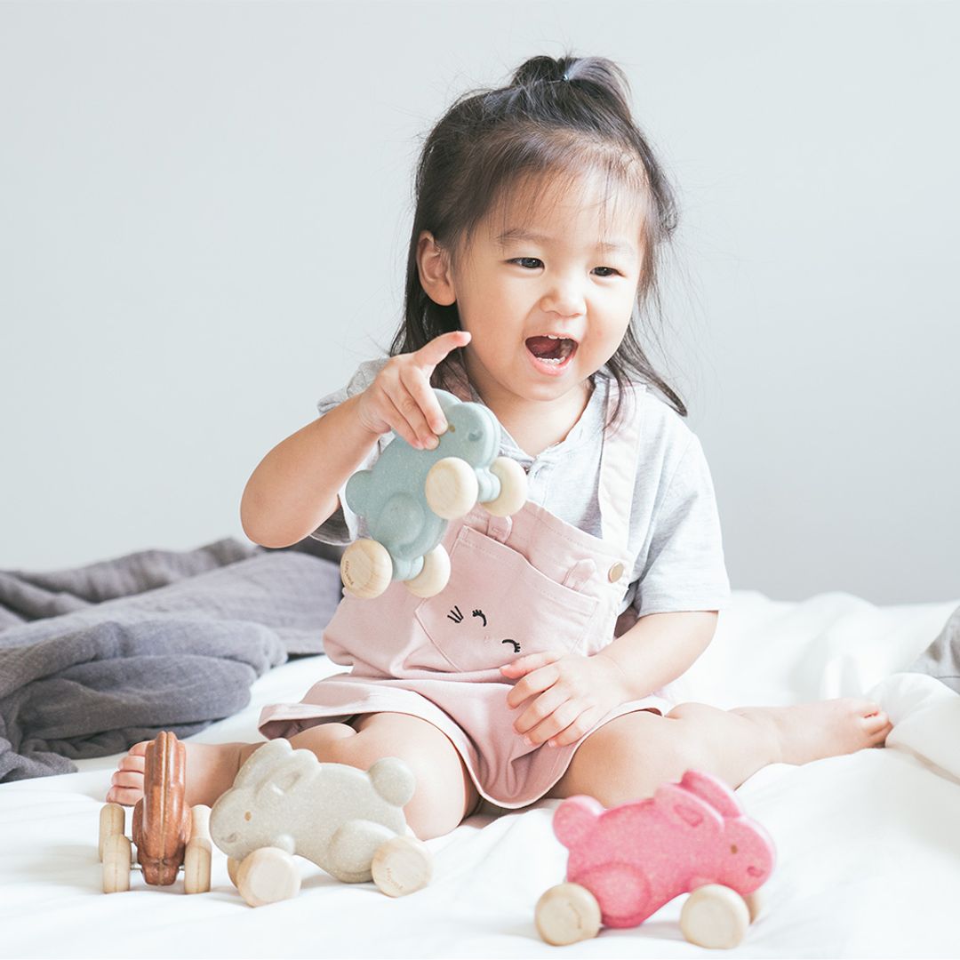 PlanToys Push Along Bunny - Pink | Playroom Avenue