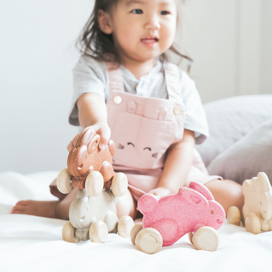 PlanToys Push Along Bunny - Pink | Playroom Avenue