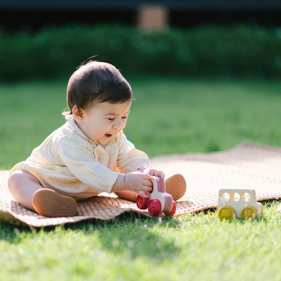 PlanToys Timber Trail Cruiser