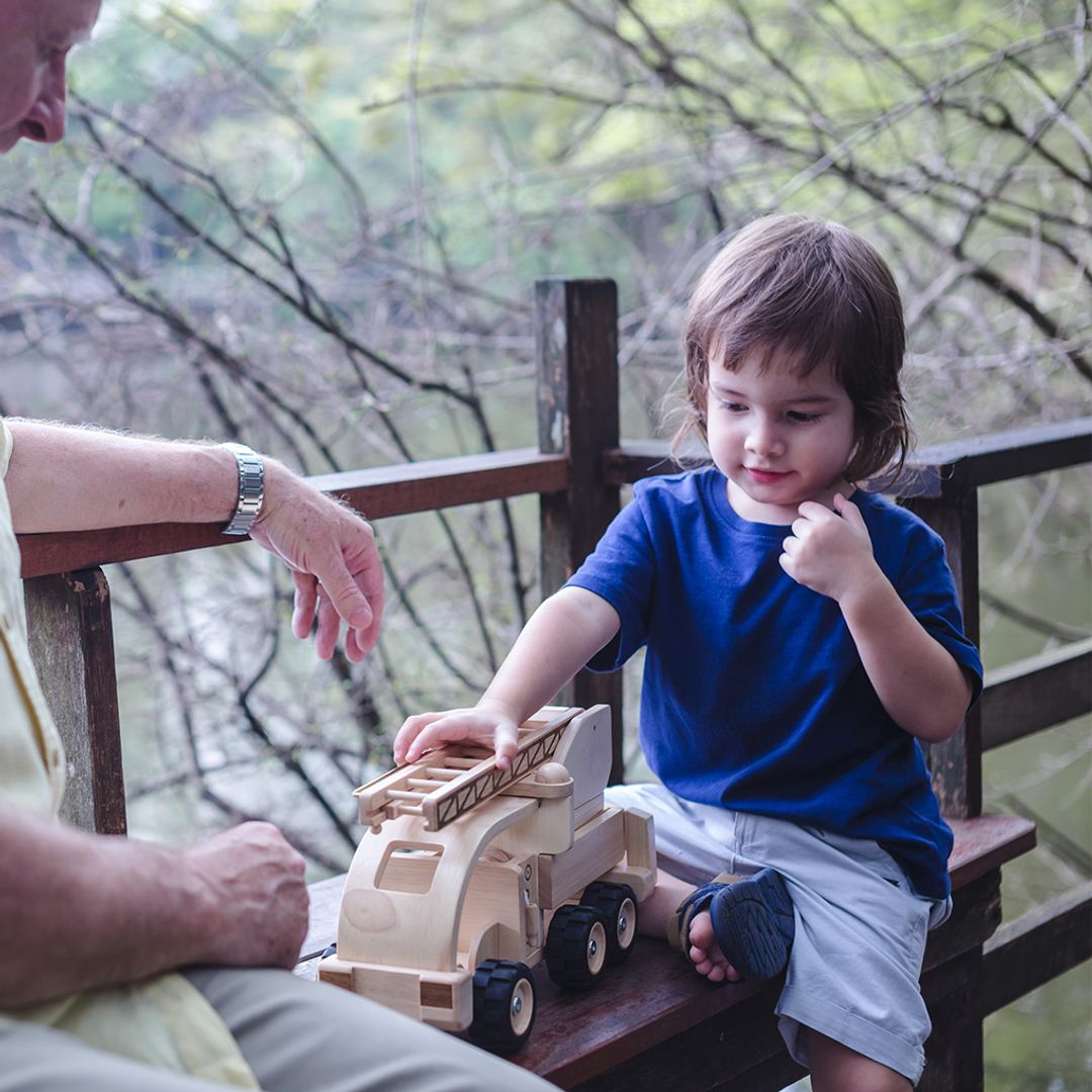 PlanToys Fire Truckㅤ | Playroom Avenue