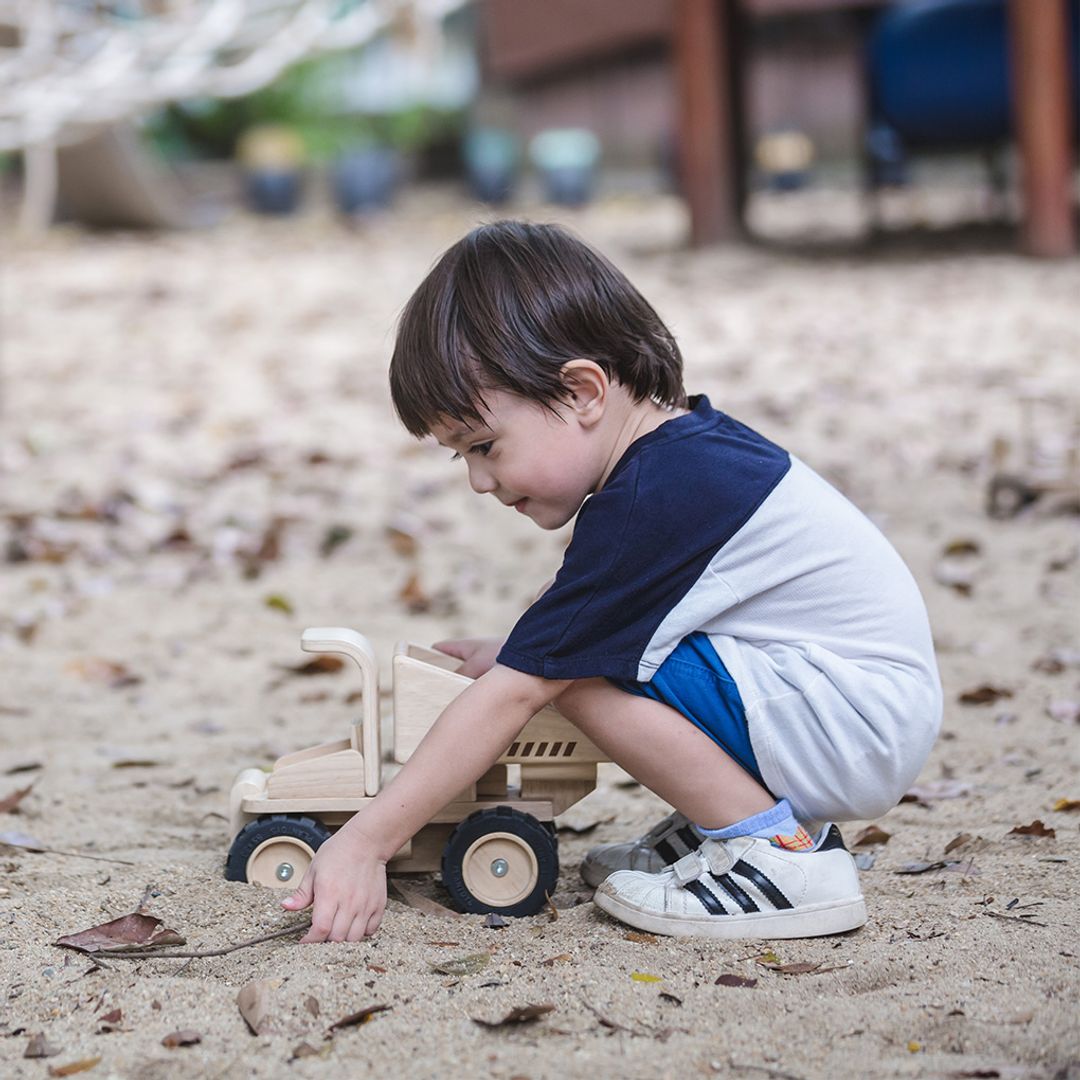 PlanToys Dump Truck - Playroom Avenue