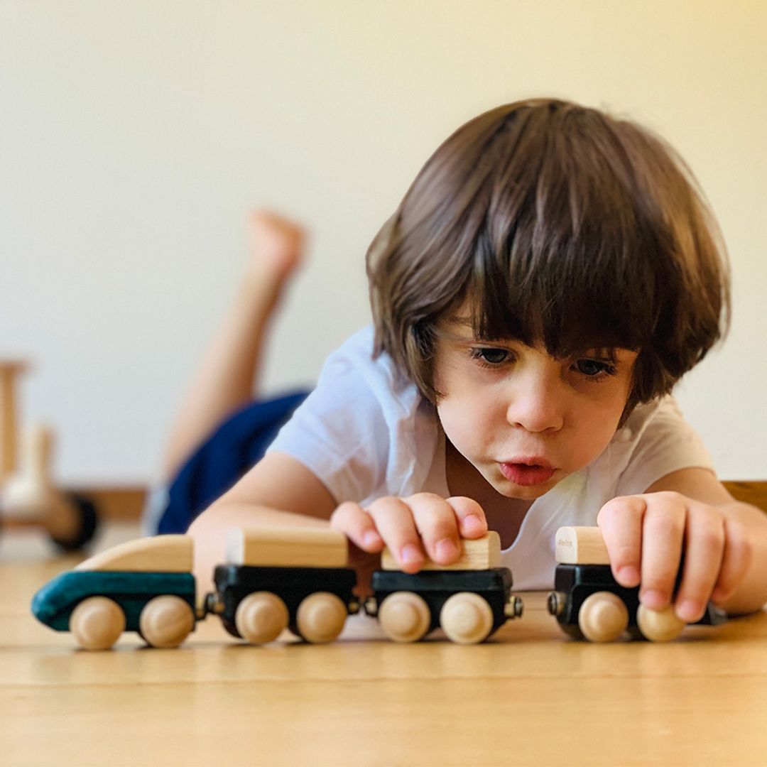 PlanToys Hybrid Train - Playroom Avenue