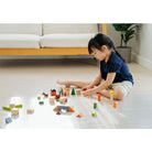 PlanToys Countryside Blocks