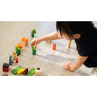 PlanToys Countryside Blocks