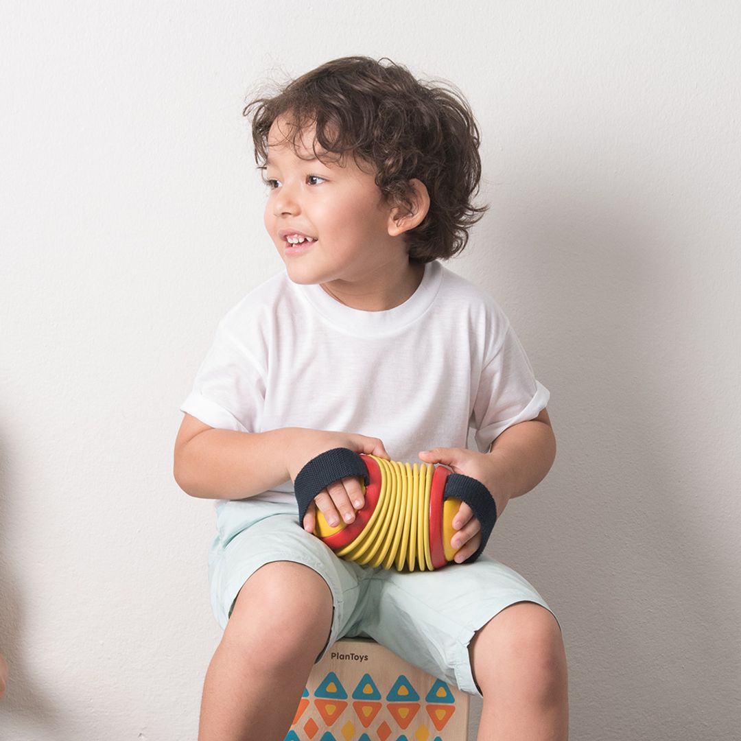 PlanToys Concertina | Playroom Avenue